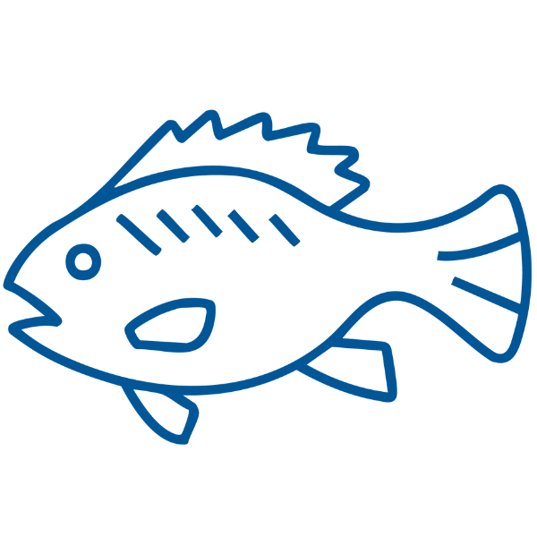 https://propspeed.sgp1.digitaloceanspaces.com/Foulfree-MSS-Assets/Biocide-Free-coating-System.png