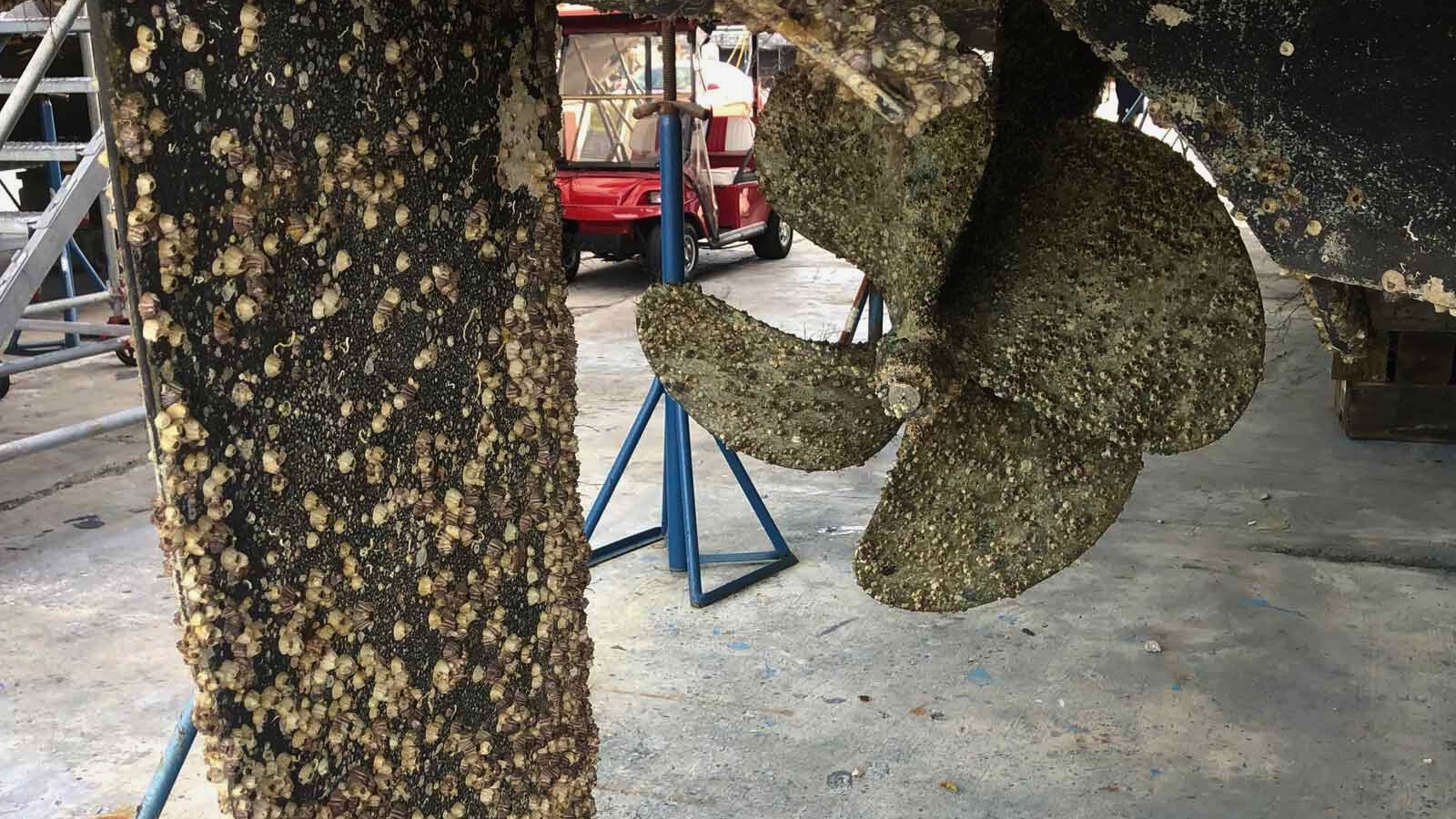https://propspeed.sgp1.digitaloceanspaces.com/Fouling/10-fouled-props.jpg