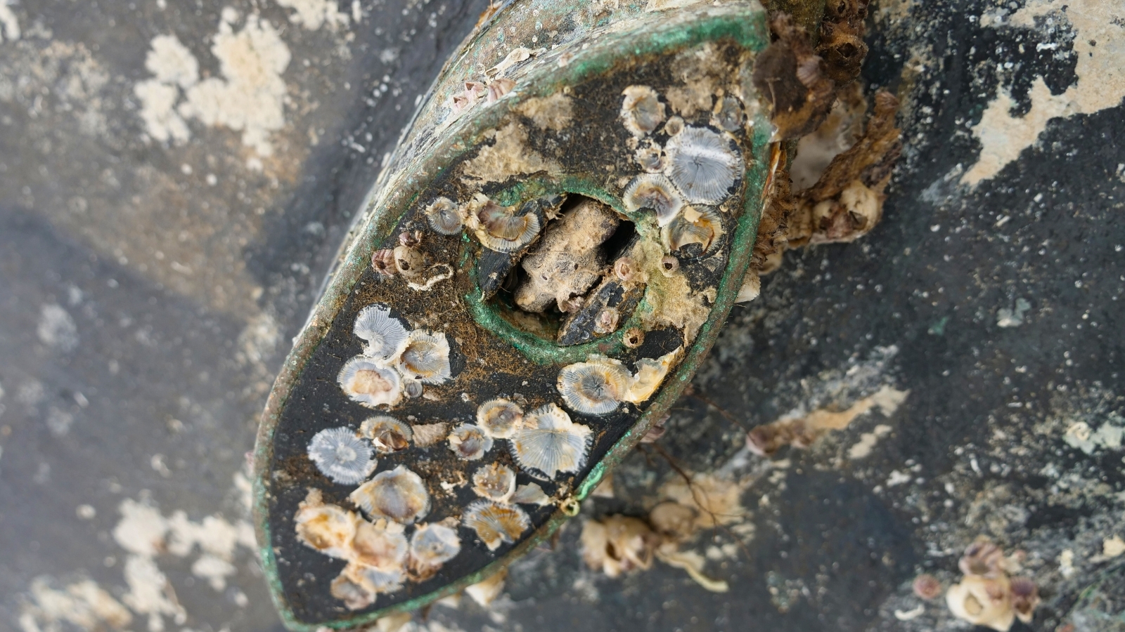 https://propspeed.sgp1.digitaloceanspaces.com/Fouling/15-fouled-transducer-1.jpg