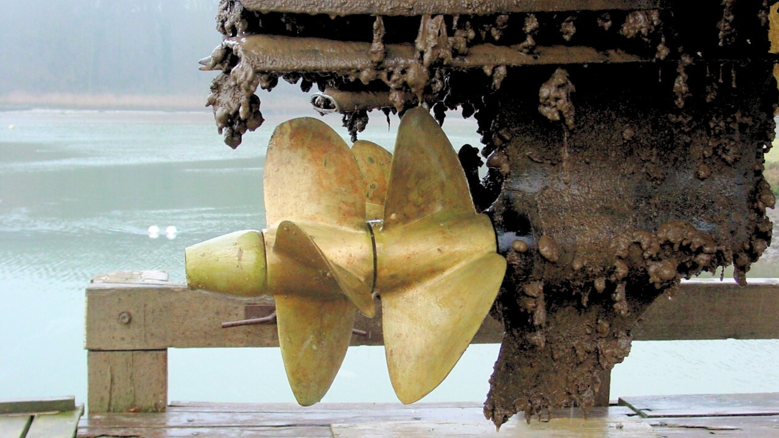 https://propspeed.sgp1.digitaloceanspaces.com/Fouling/2-power-of-propspeed.jpg
