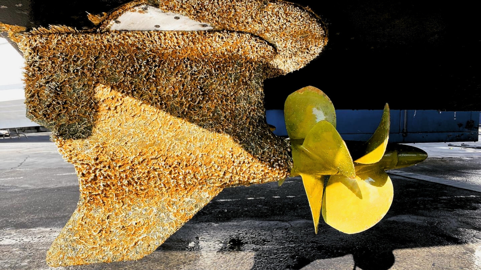https://propspeed.sgp1.digitaloceanspaces.com/Fouling/3-fouled-propeller-versus-propspeed.jpg