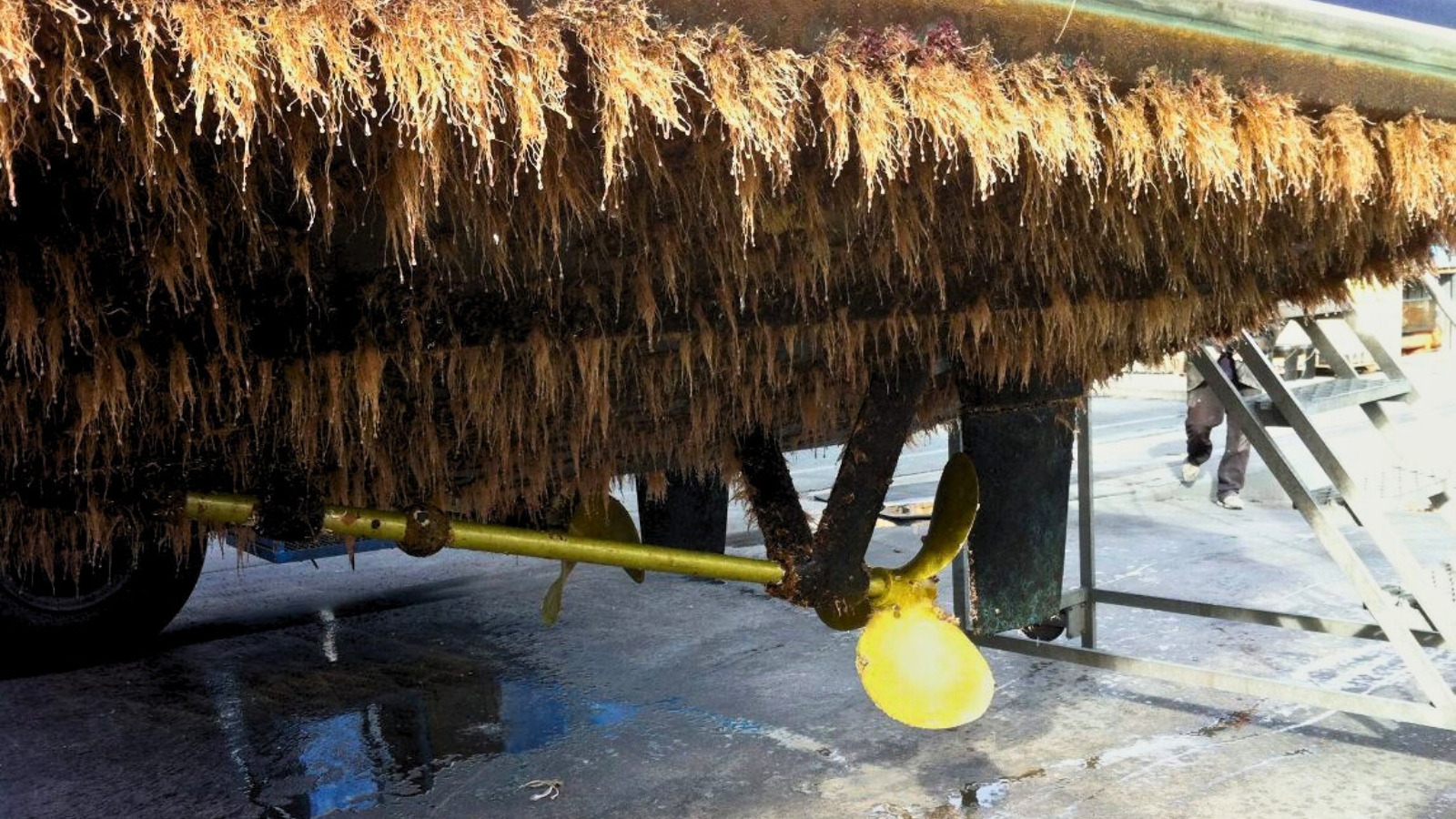 https://propspeed.sgp1.digitaloceanspaces.com/Fouling/4-fouled-bottom-versus-propspeed-propeller.jpg