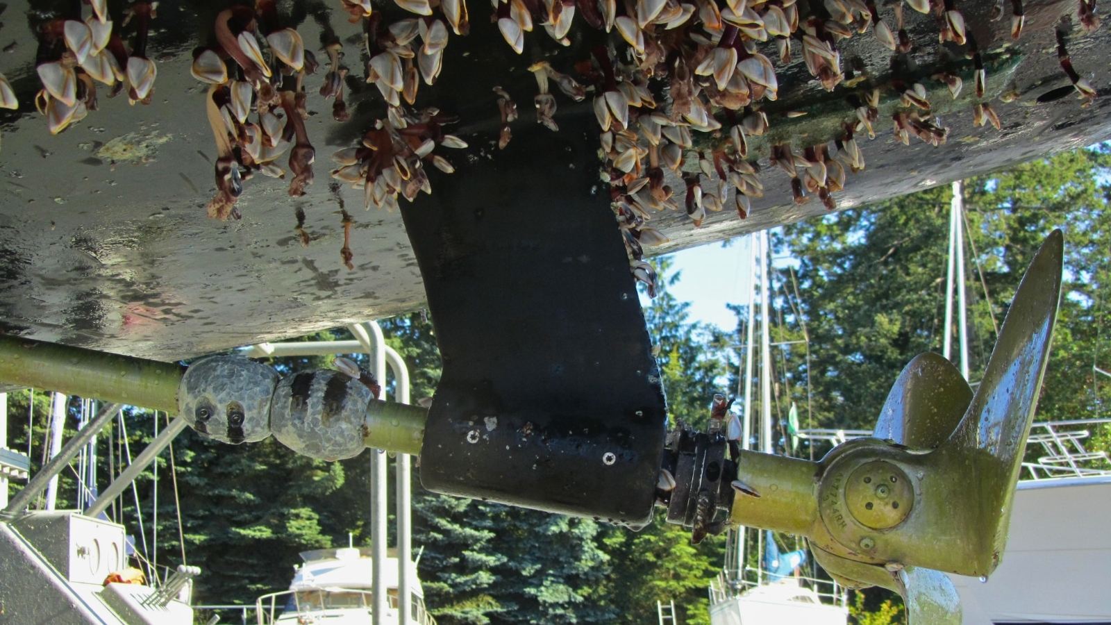 https://propspeed.sgp1.digitaloceanspaces.com/Fouling/5-stay-protected-with-propspeed.jpg