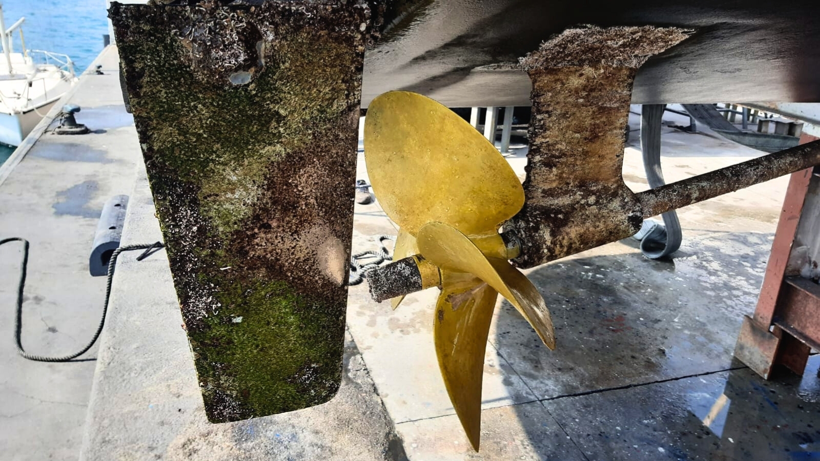 https://propspeed.sgp1.digitaloceanspaces.com/Fouling/6-why-use-propspeed.jpg