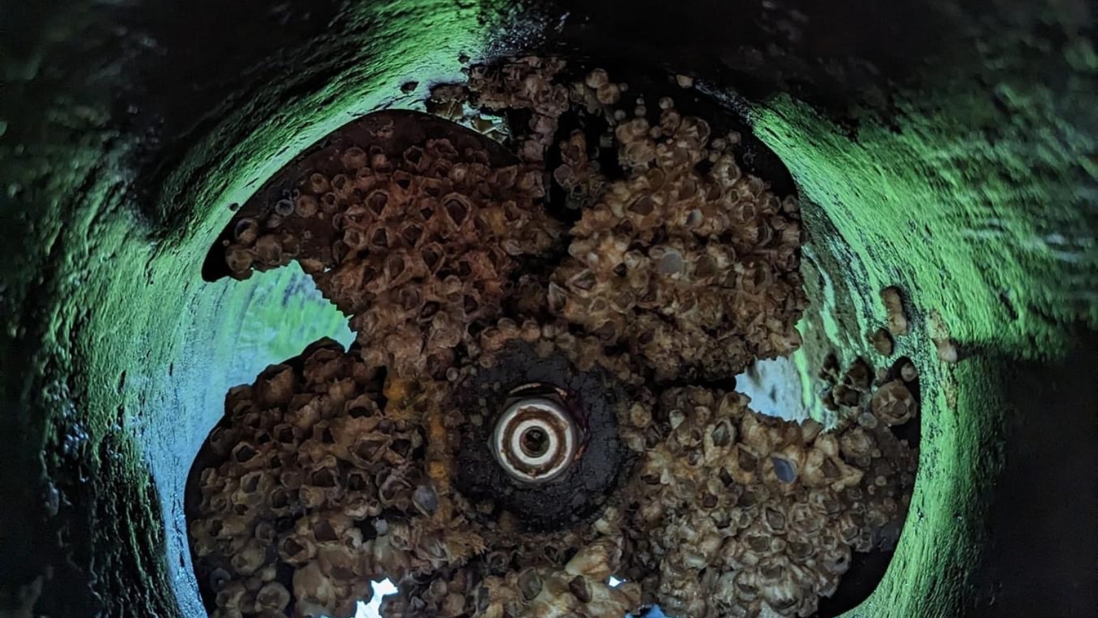 https://propspeed.sgp1.digitaloceanspaces.com/Fouling/8-fouled-bow-thruster.jpg