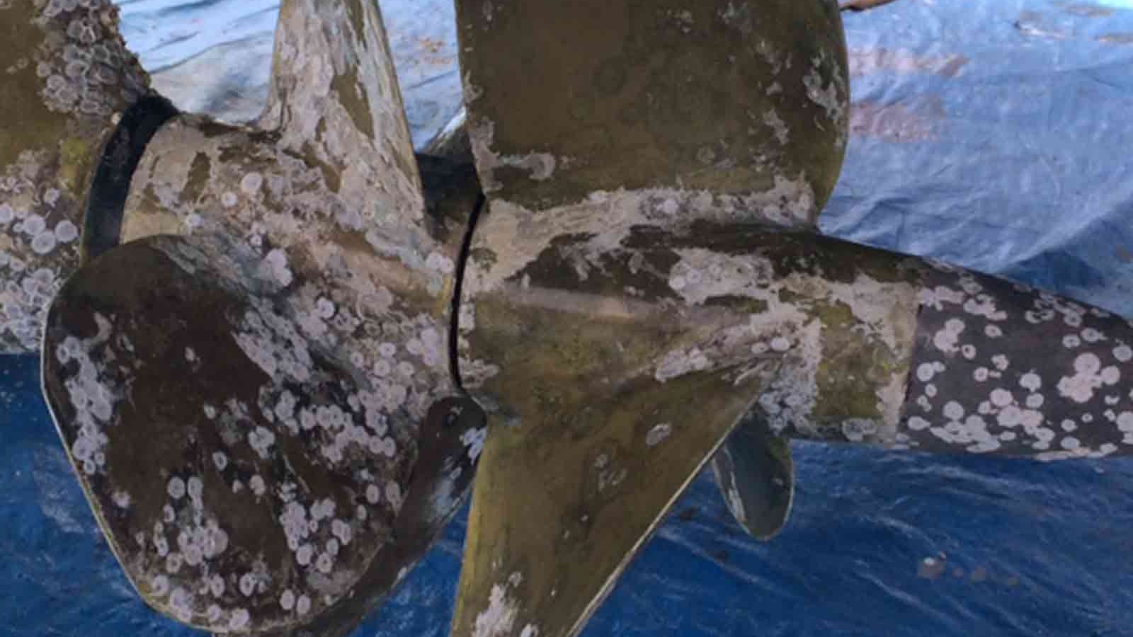 https://propspeed.sgp1.digitaloceanspaces.com/Hero-Images-Singles/6-Corrosion-on-Pod-Drive.jpg