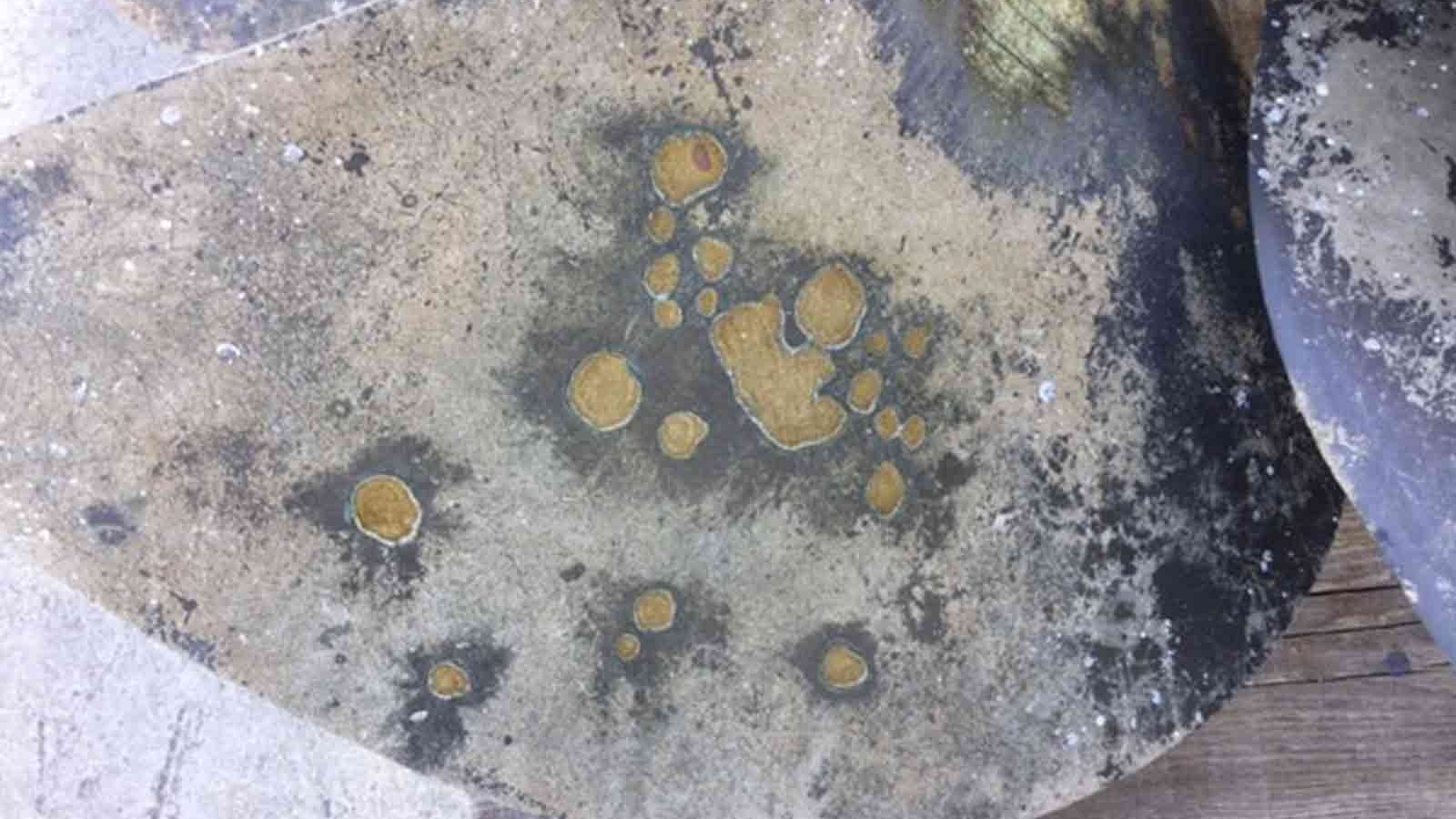 https://propspeed.sgp1.digitaloceanspaces.com/Hero-Images-Singles/9-Corrosion-on-Propeller-blade.jpg