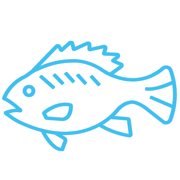 https://propspeed.sgp1.digitaloceanspaces.com/Icons/biocide-free-coatings.png