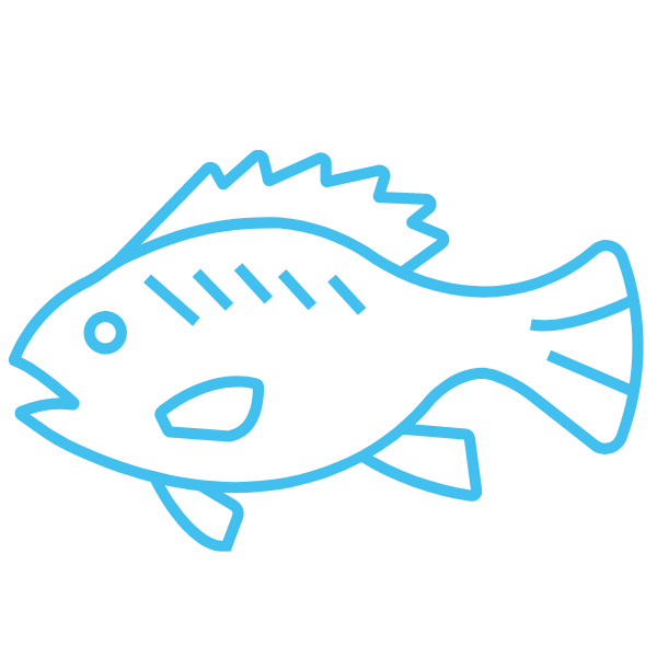 https://propspeed.sgp1.digitaloceanspaces.com/Icons/biocide-free.png