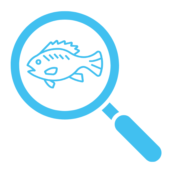 https://propspeed.sgp1.digitaloceanspaces.com/Icons/see-the-real-picture-1.png