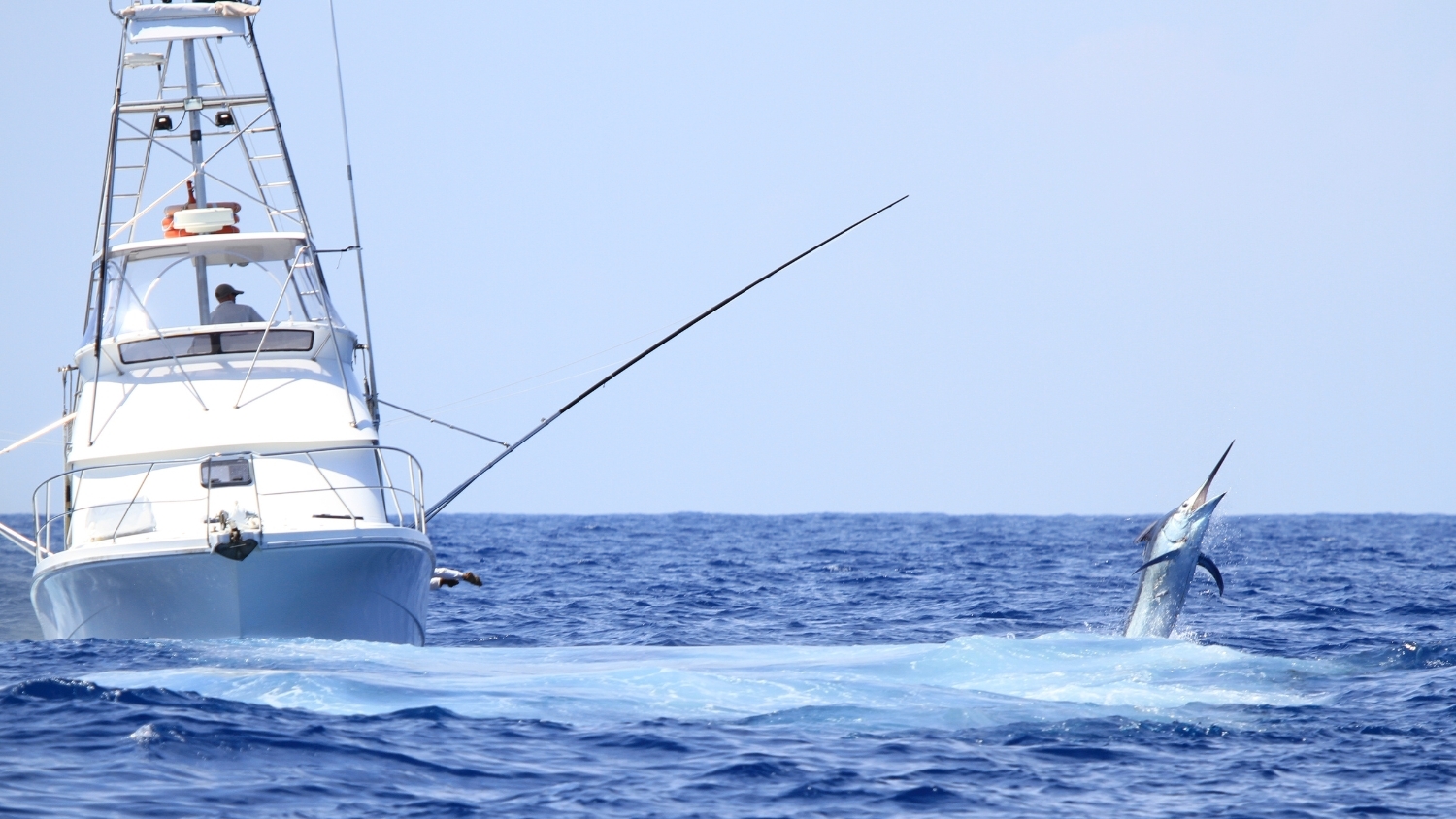 https://propspeed.sgp1.digitaloceanspaces.com/Like-A-Pro/Gallery/14-Propspeed-Fishing-Vessel-Coatings.jpg